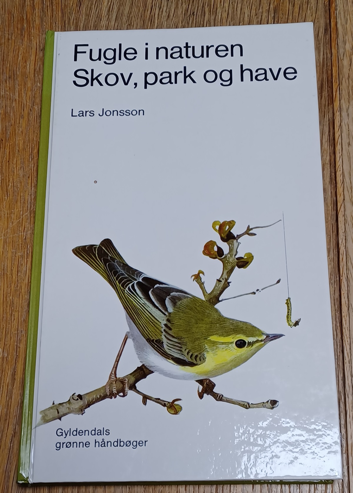Fugle i naturen skov, park og have