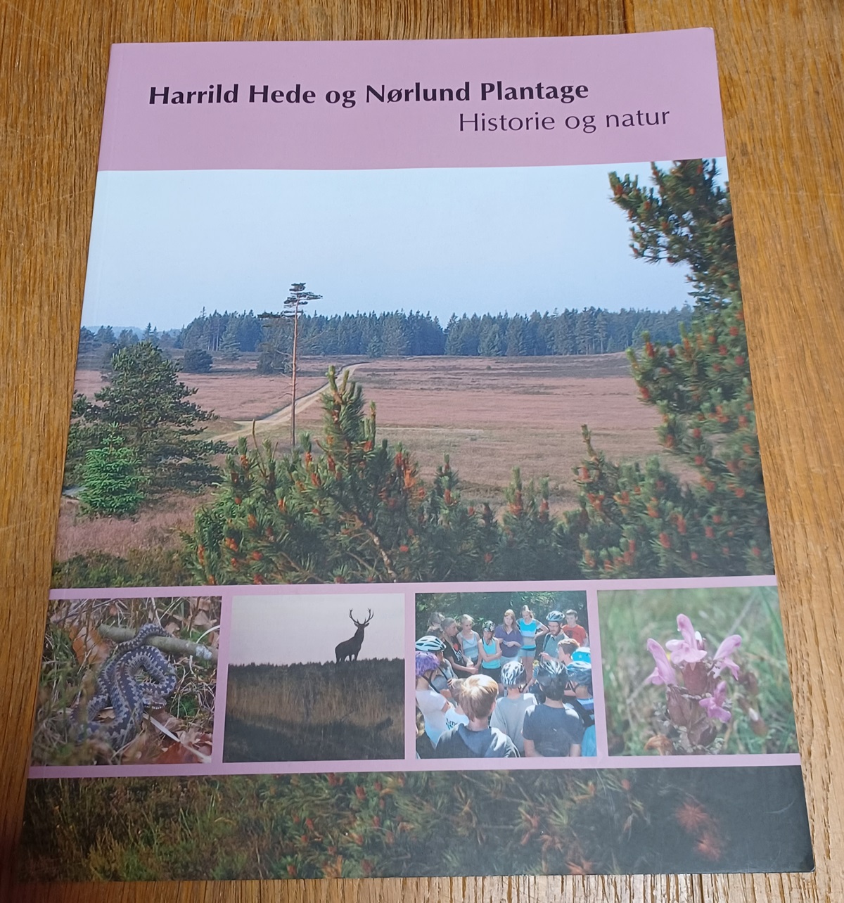 Harrild hede og Nørlund plantage