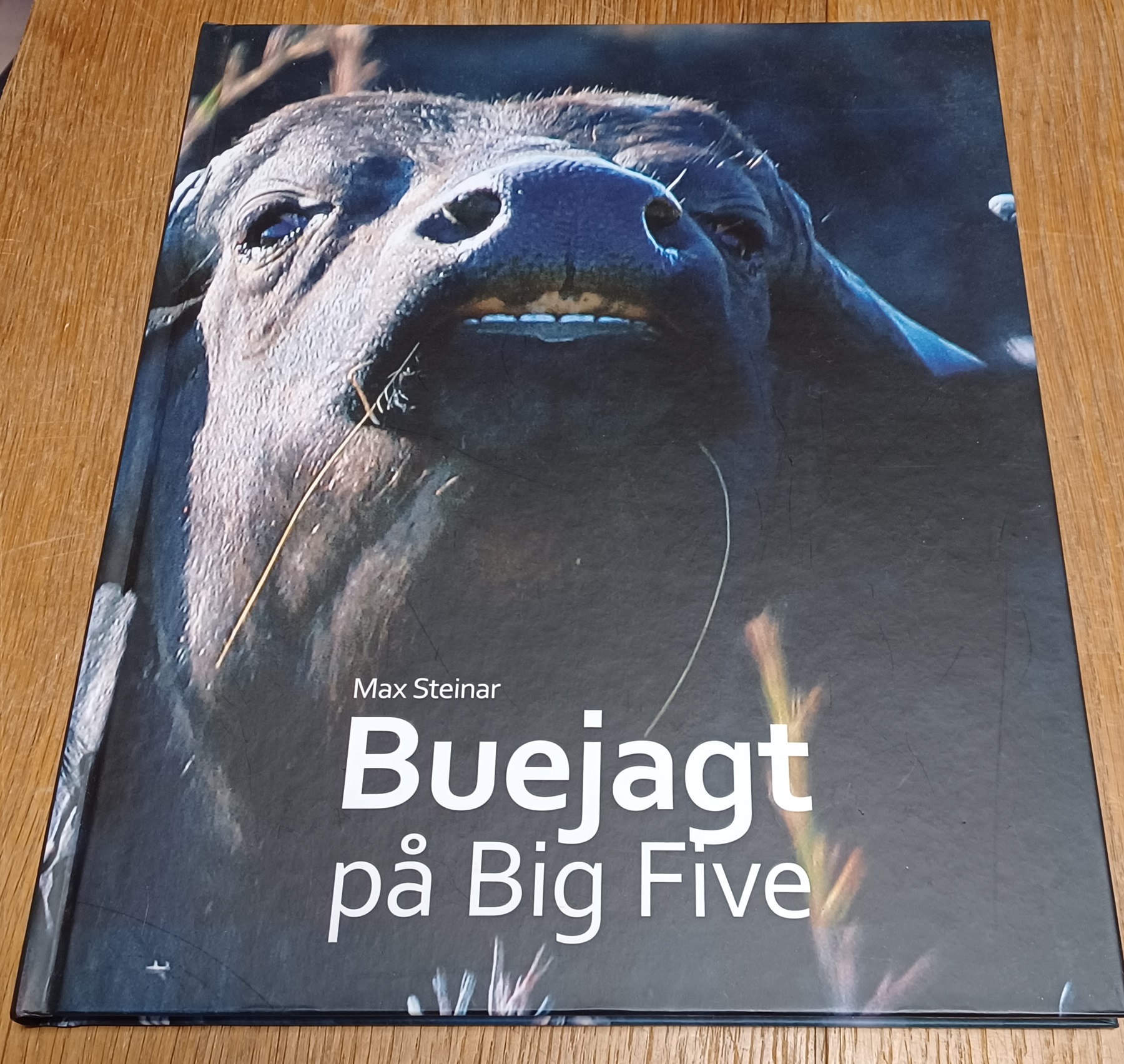 Buejagt på big Five